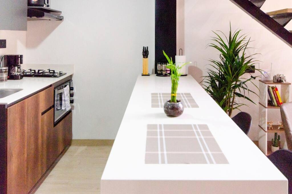 Apartamento Tipo Loft 메딜린 외부 사진